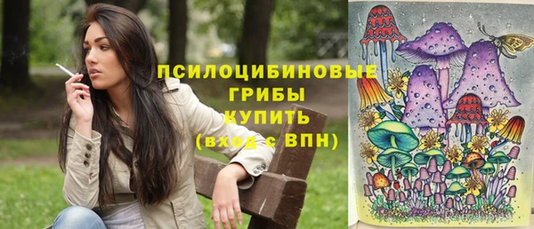 каннабис Майский