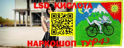 гашик Лесосибирск