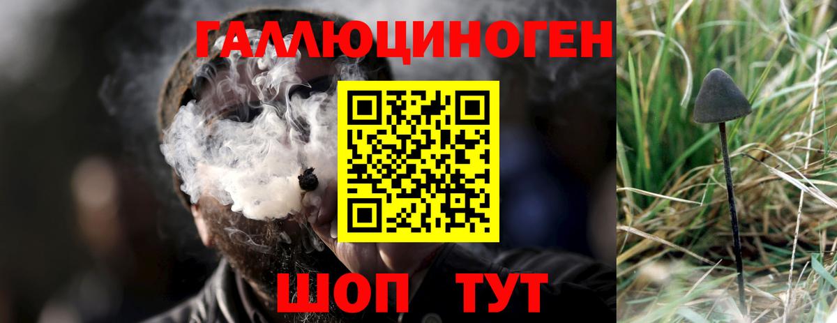 Псилоцибиновые грибы GOLDEN TEACHER Минеральные Воды