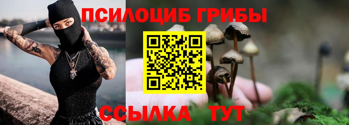 Псилоцибиновые грибы GOLDEN TEACHER  Вход с VPN  Галлюциногенные грибы Psilocybine cubensis  Минеральные Воды 